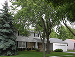 Schaumburg Colonial Photo